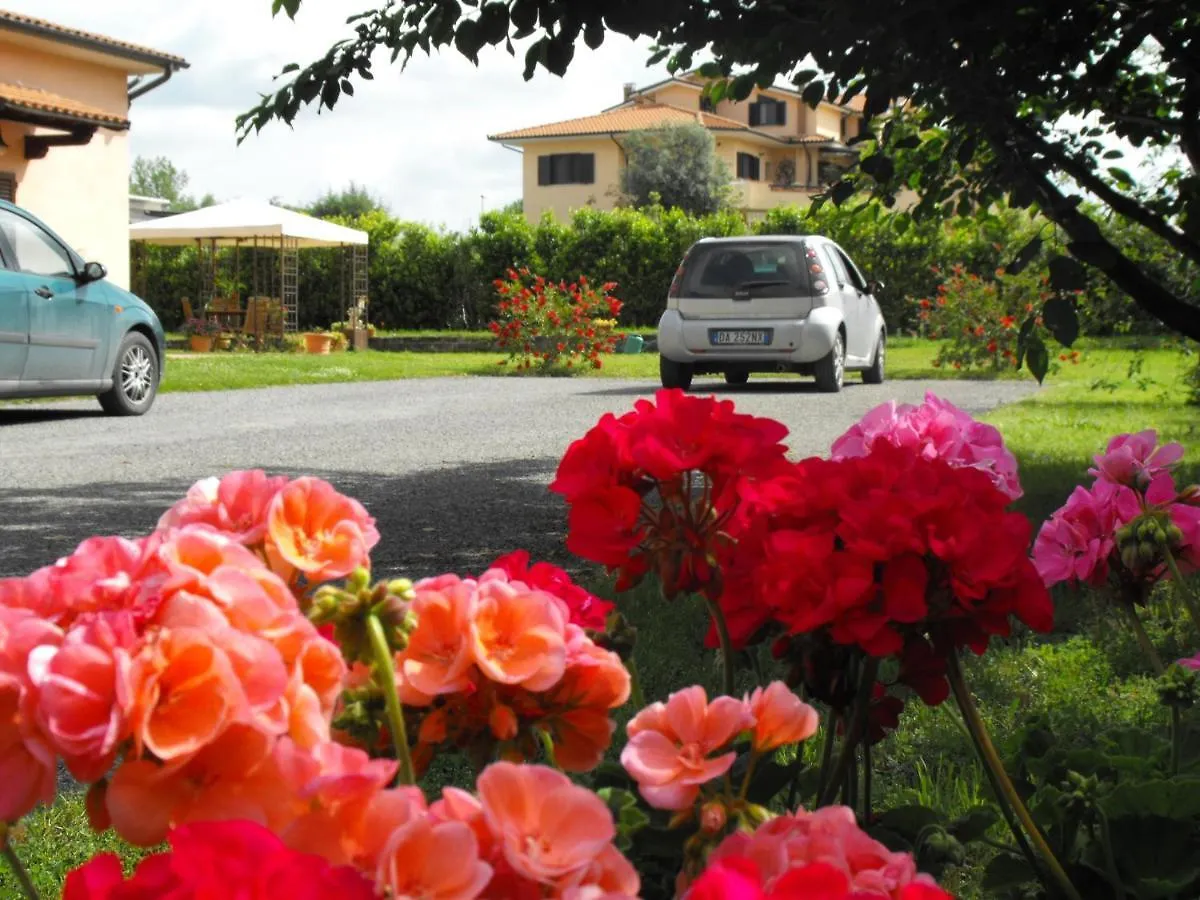 Villa Etruria Guest House